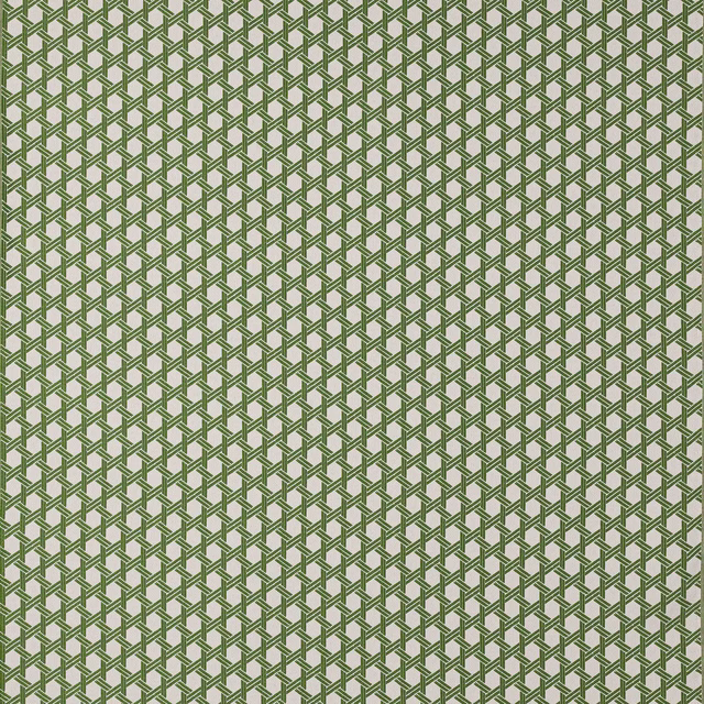 Close-up of Saint-Tropez Prairie fabric in sage green geometric lattice on a light ground