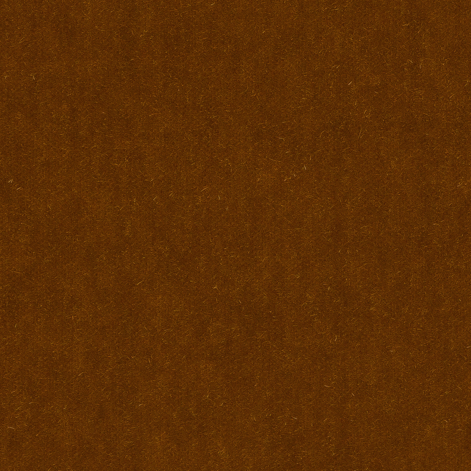 Close-up of warm amber-gold mohair with a soft plush nap