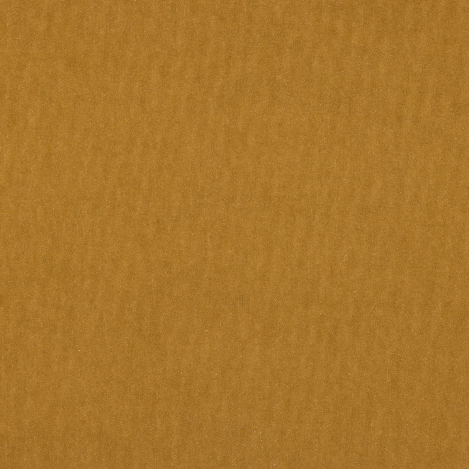 Warm sand-gold mohair swatch with a soft, velvety plain texture