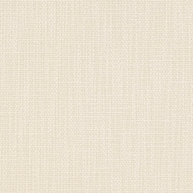 Pale ivory woven fabric with a fine slubbed texture and soft cream tone