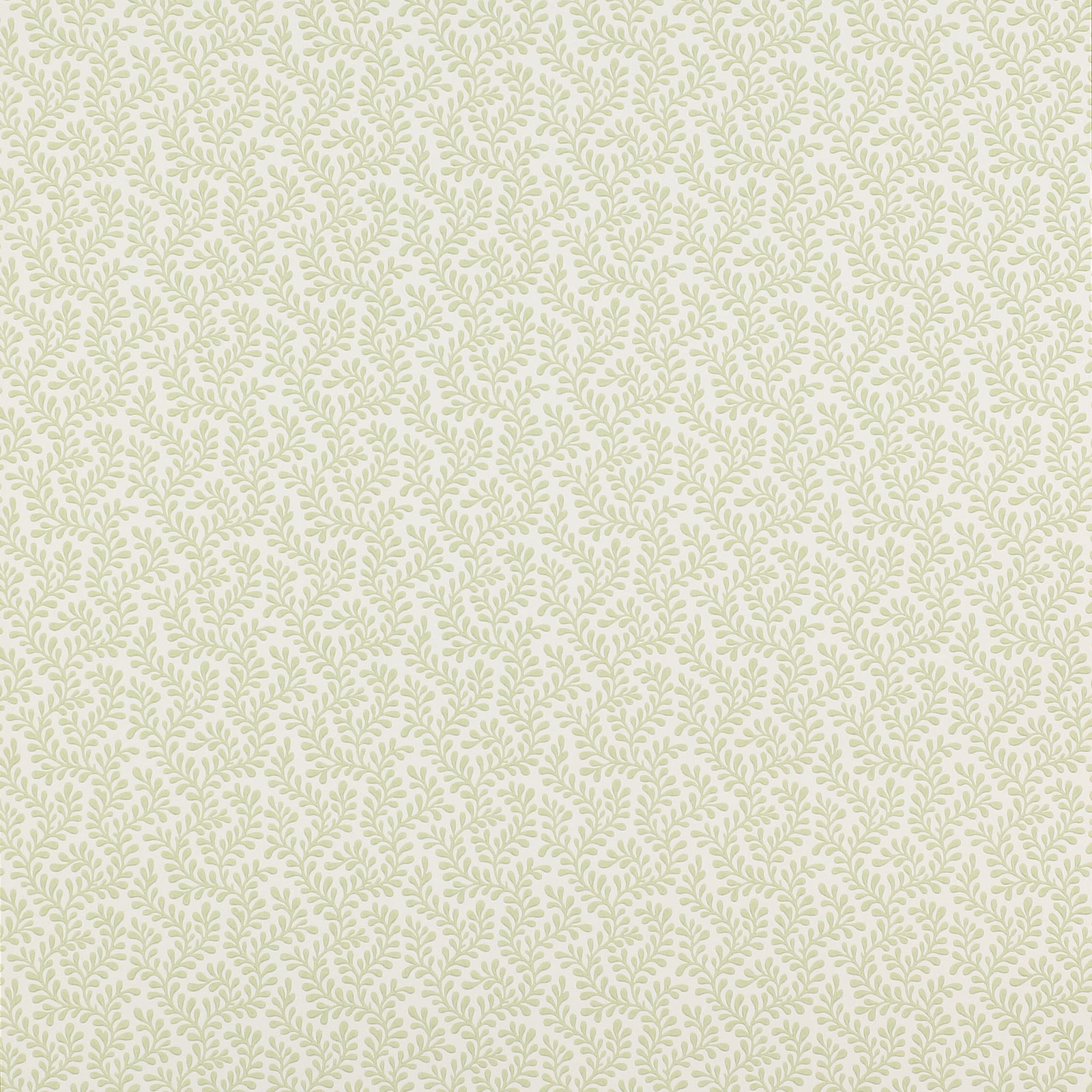 Pale sage leafy sprigs repeating across an ivory paper wallpaper ground