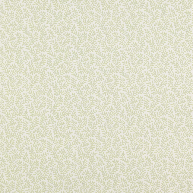 Pale sage leafy sprigs repeating across an ivory paper wallpaper ground