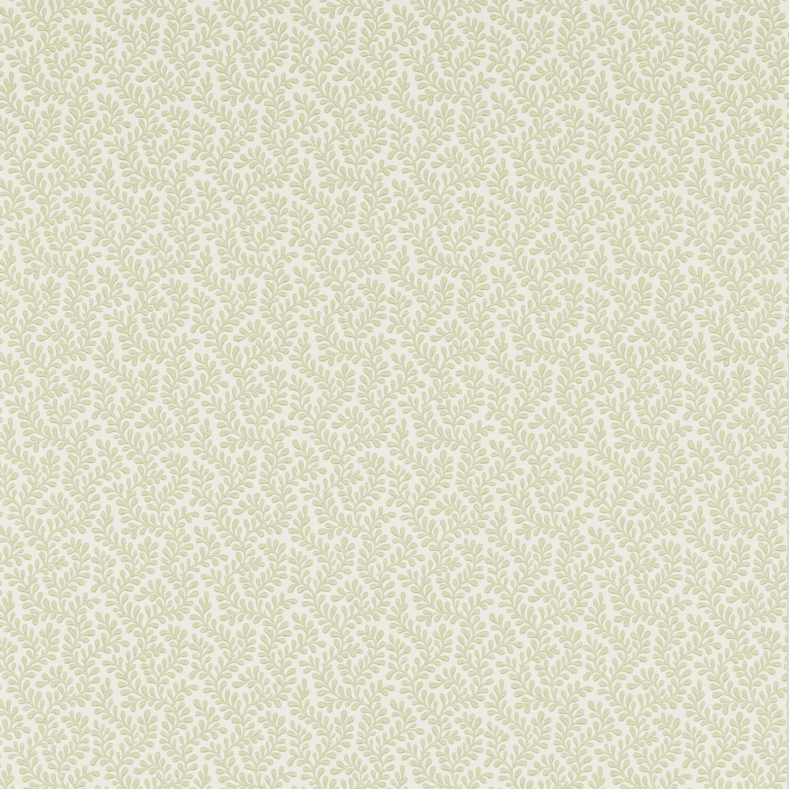 Pale sage green leafy sprigs on an ivory ground in a small botanical repeat