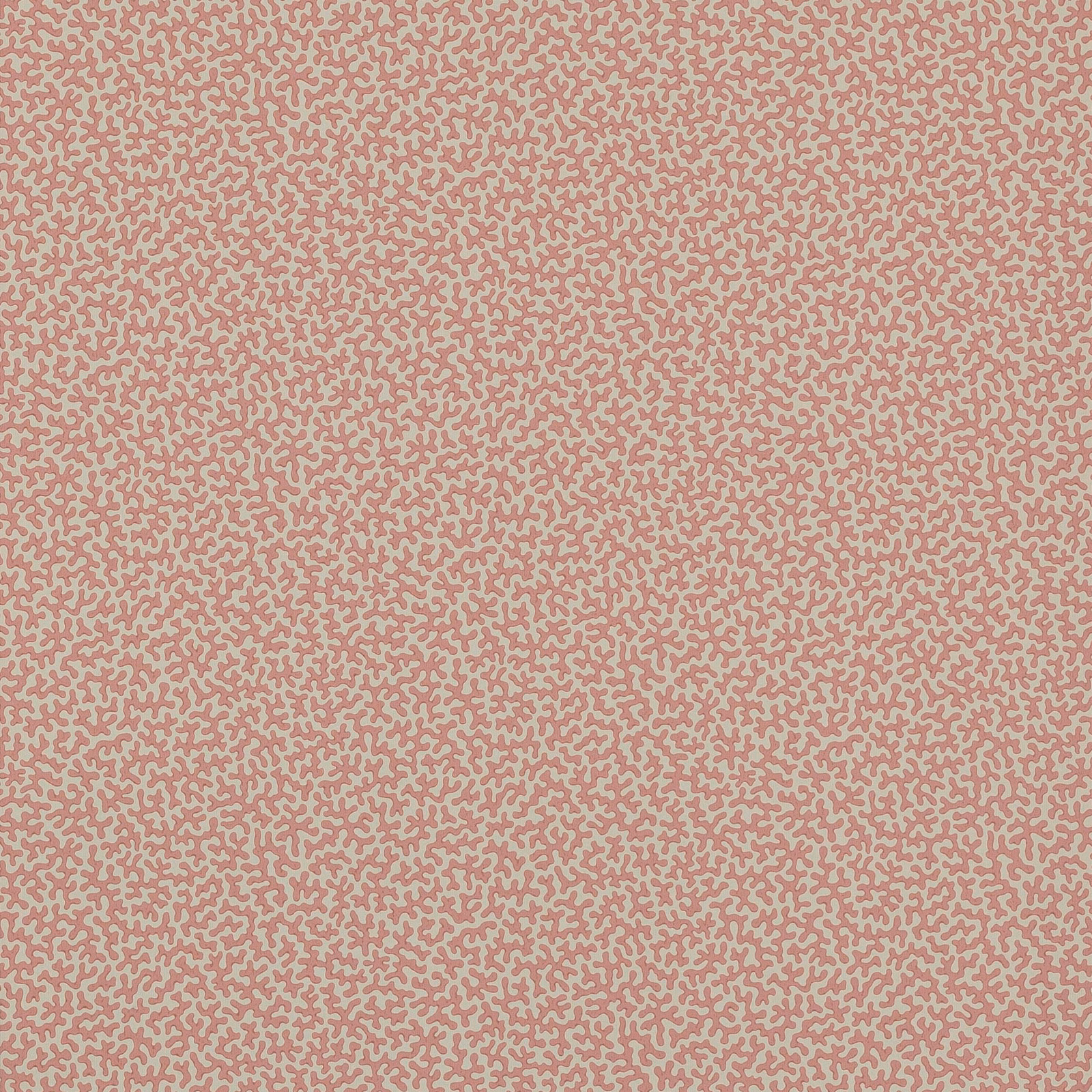 Dusty red wallpaper with dense pale grey branching squiggle motif