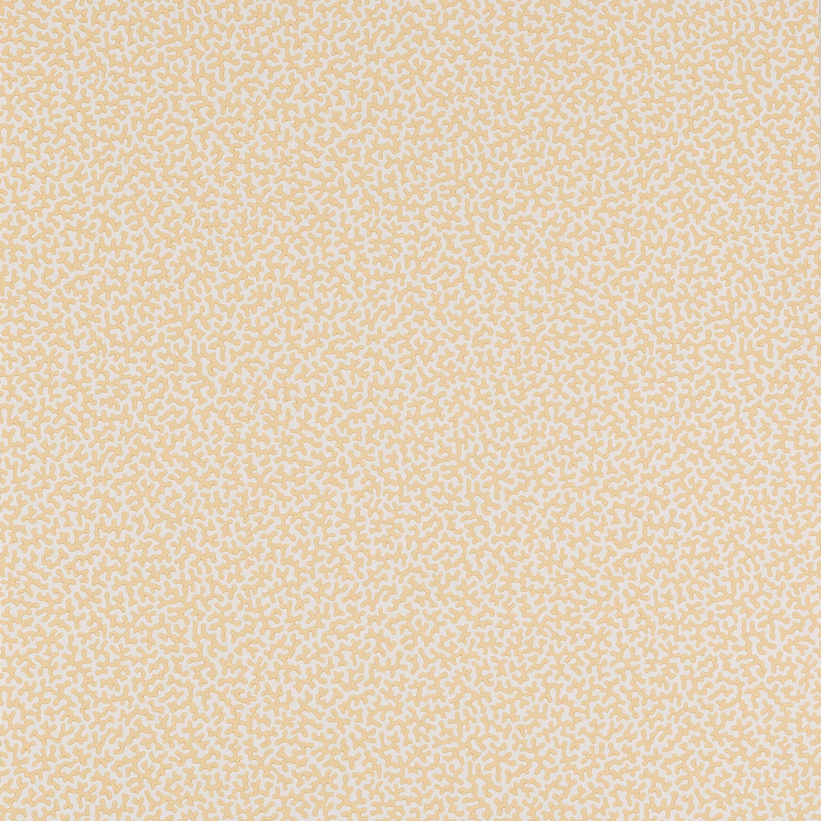 Soft buttery-yellow wallpaper with dense ivory squiggle motifs in a small repeat