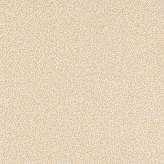 Soft buttery-yellow wallpaper with dense ivory squiggle motifs in a small repeat