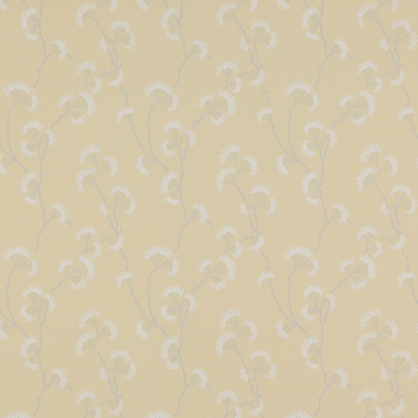 Pale yellow wallpaper with white curling botanical sprigs and faint grey stems