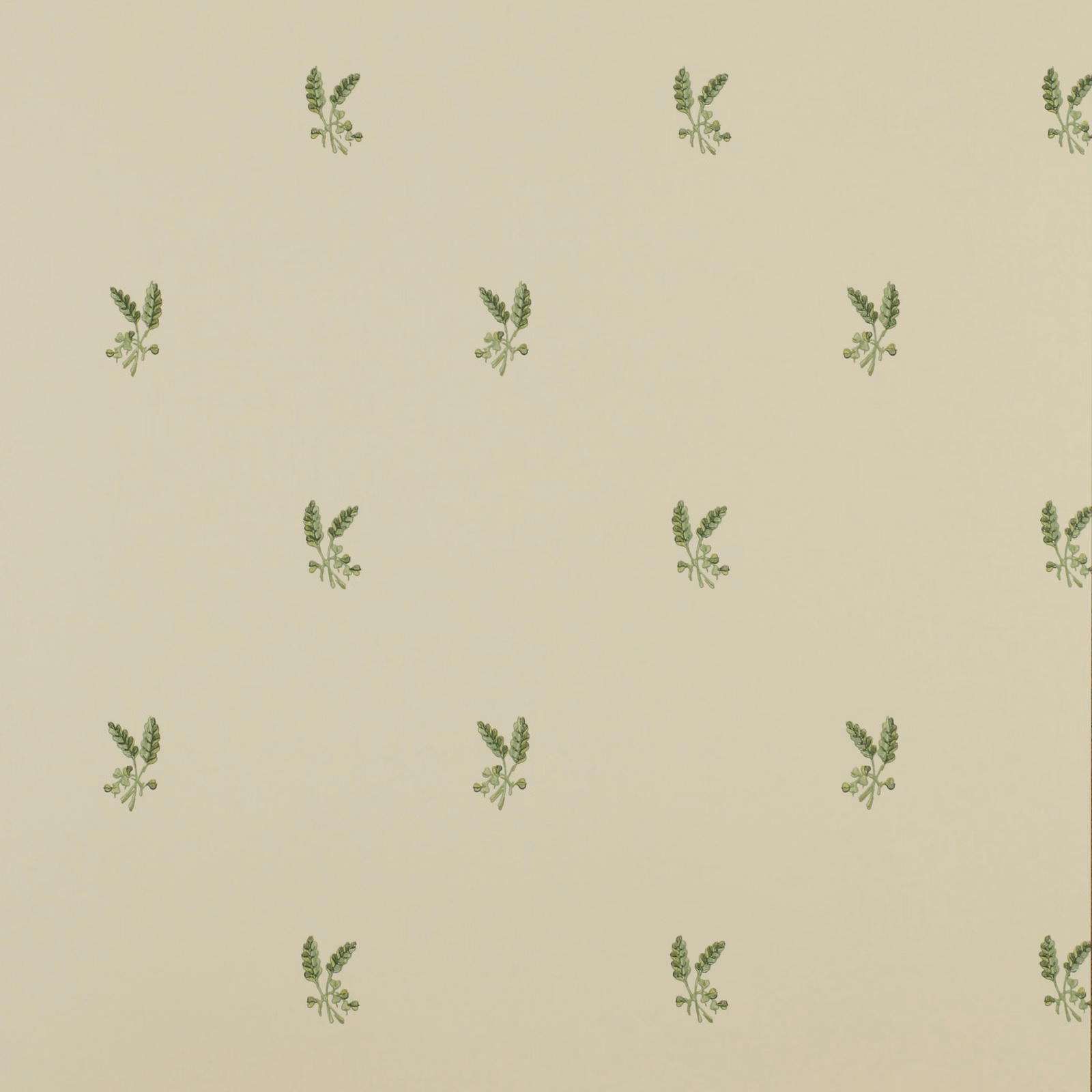 Pale putty wallpaper with evenly spaced muted fern-green botanical sprigs