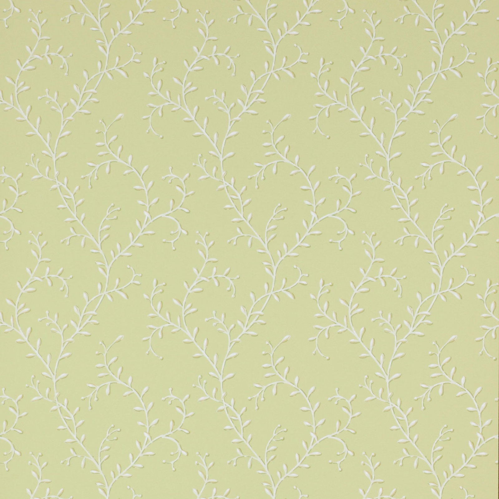 Pale leaf-green wallpaper with delicate white branching botanical vines