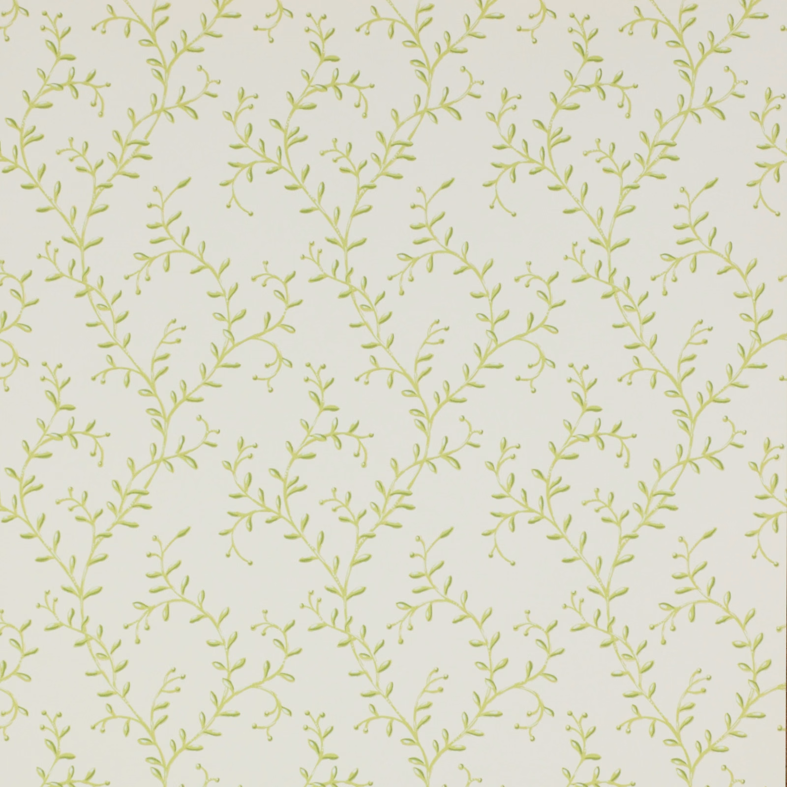 Ivory wallpaper with delicate pale green leafy sprigs in a small botanical repeat