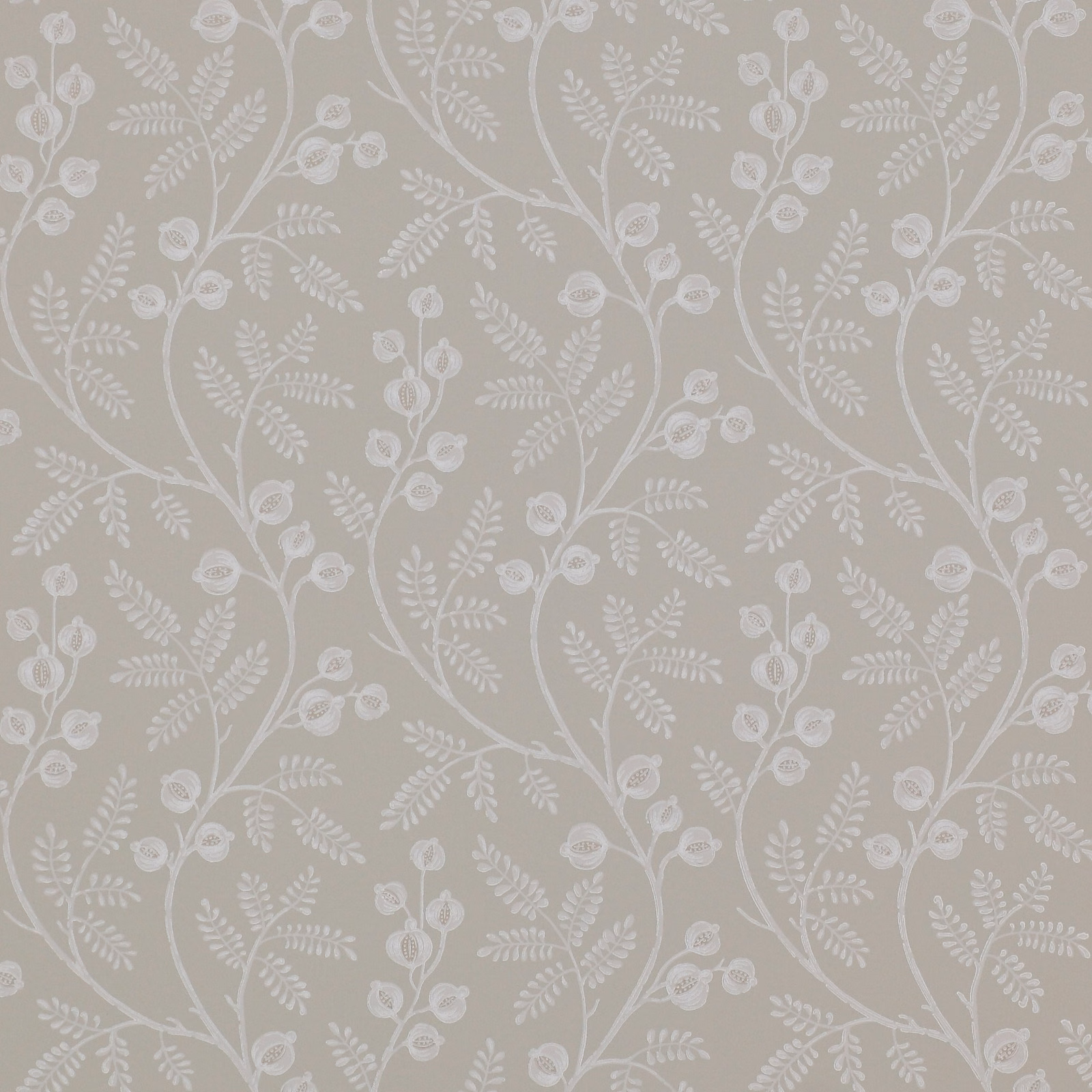 Silver-grey wallpaper with delicate white vines, fern leaves and small botanical flowers