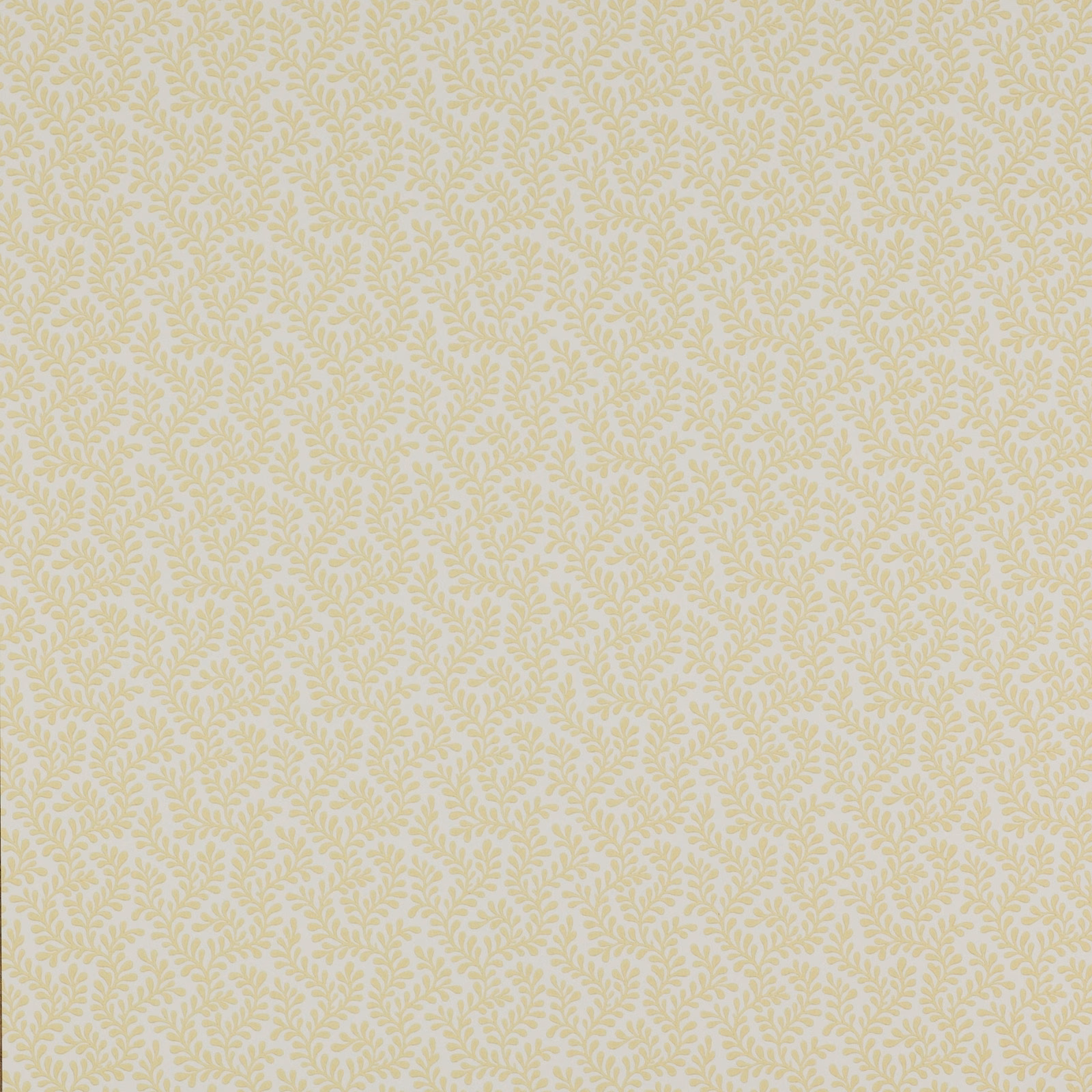 Warm cream wallpaper with a fine, soft yellow leafy sprig repeat
