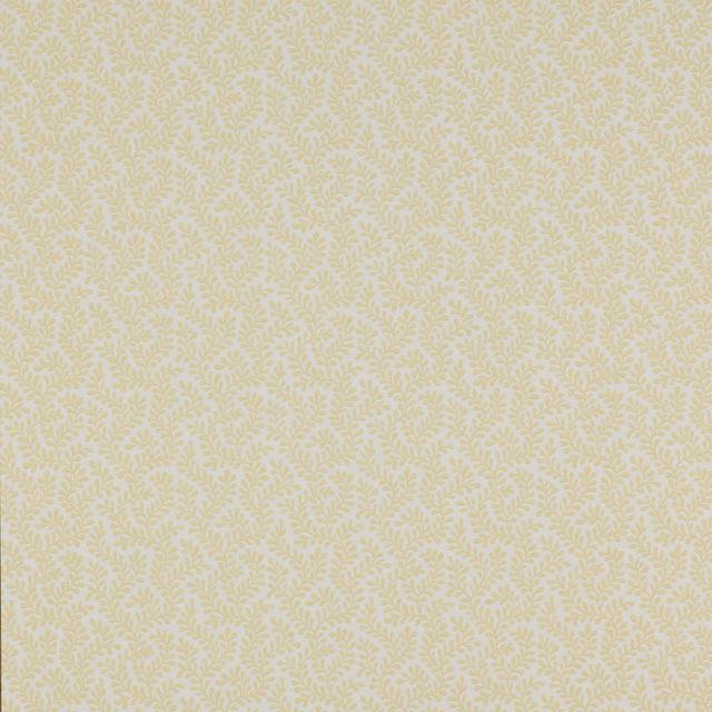 Warm cream wallpaper with a fine, soft yellow leafy sprig repeat