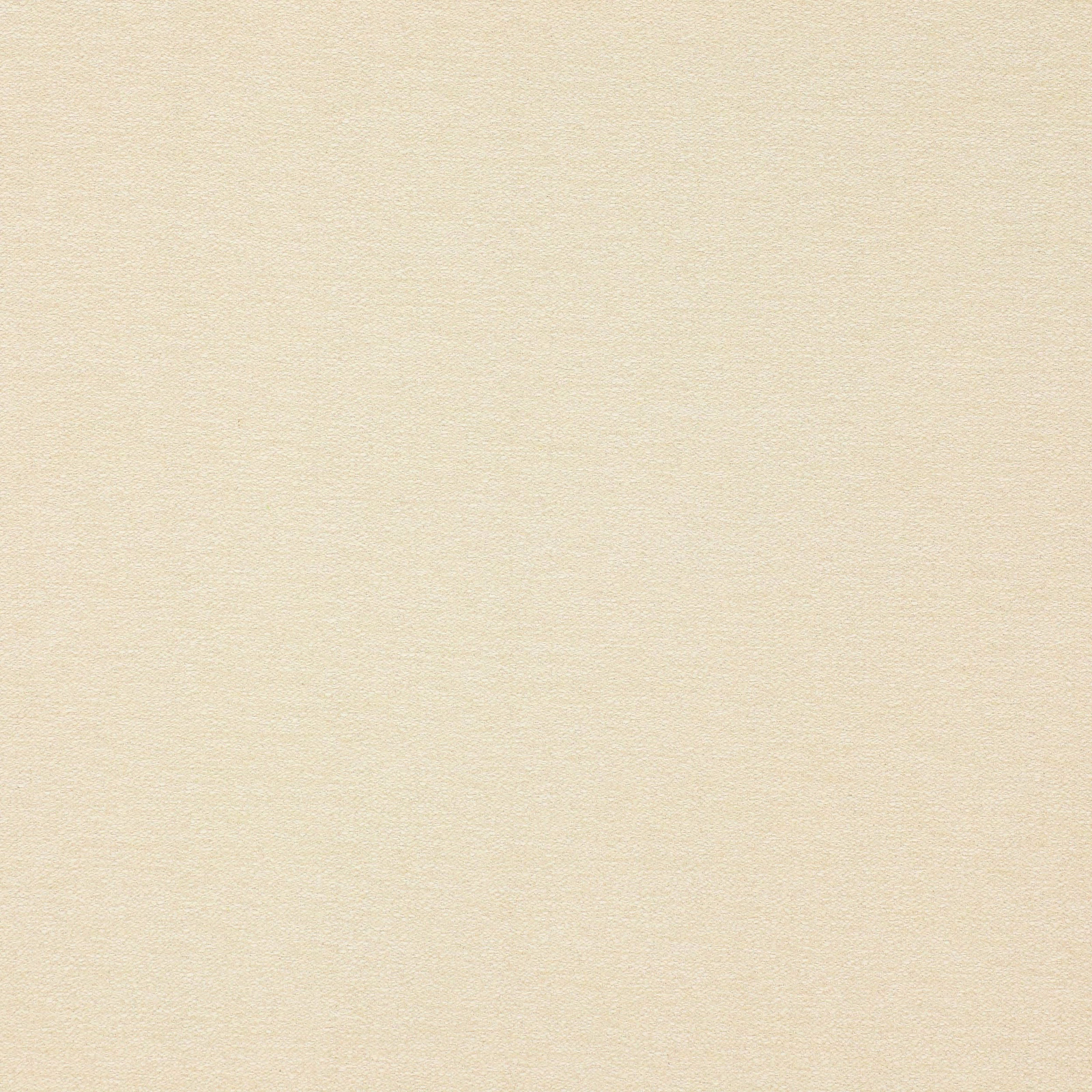 Pale pearly cream plain weave fabric swatch with a soft matte sheen