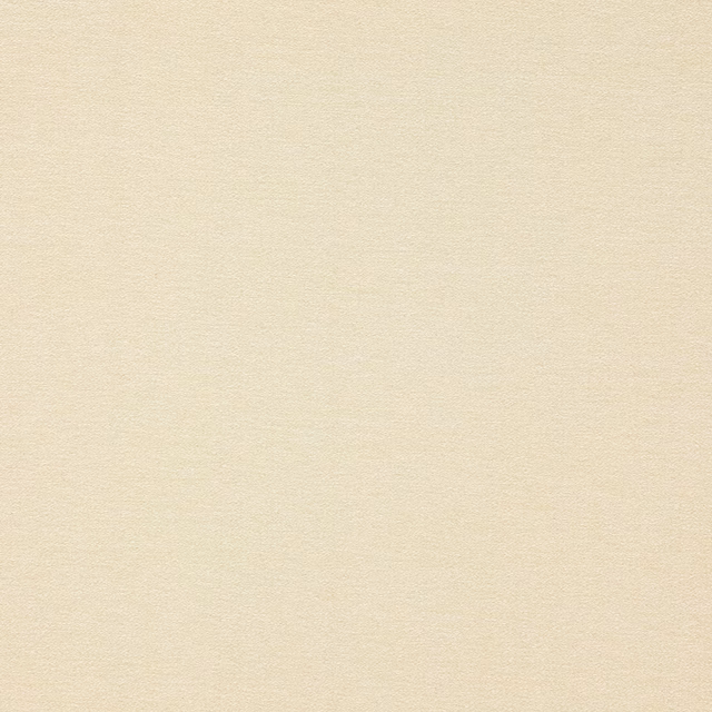 Pale pearly cream plain weave fabric swatch with a soft matte sheen