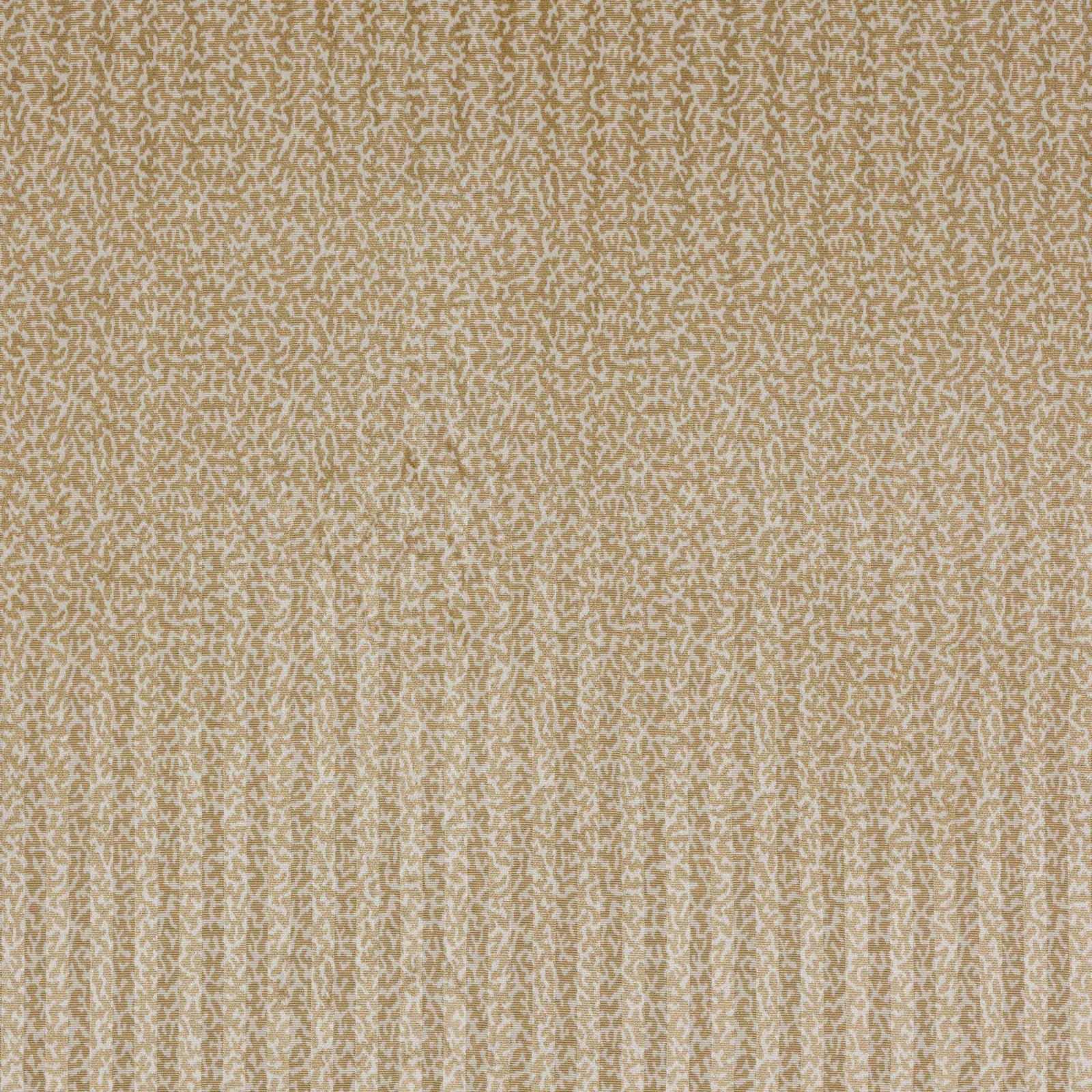 Warm sable beige velour with small pale abstract pattern