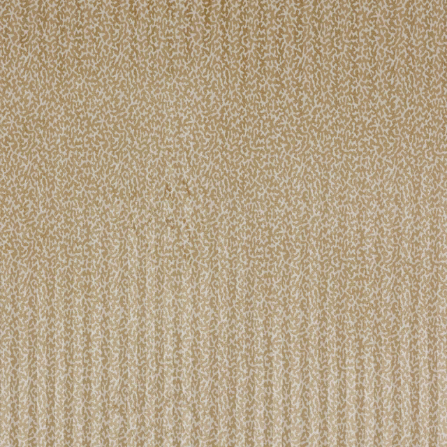 Warm sable beige velour with small pale abstract pattern