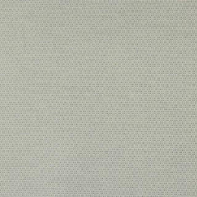 Pale opal grey woven fabric with a fine, tightly textured surface
