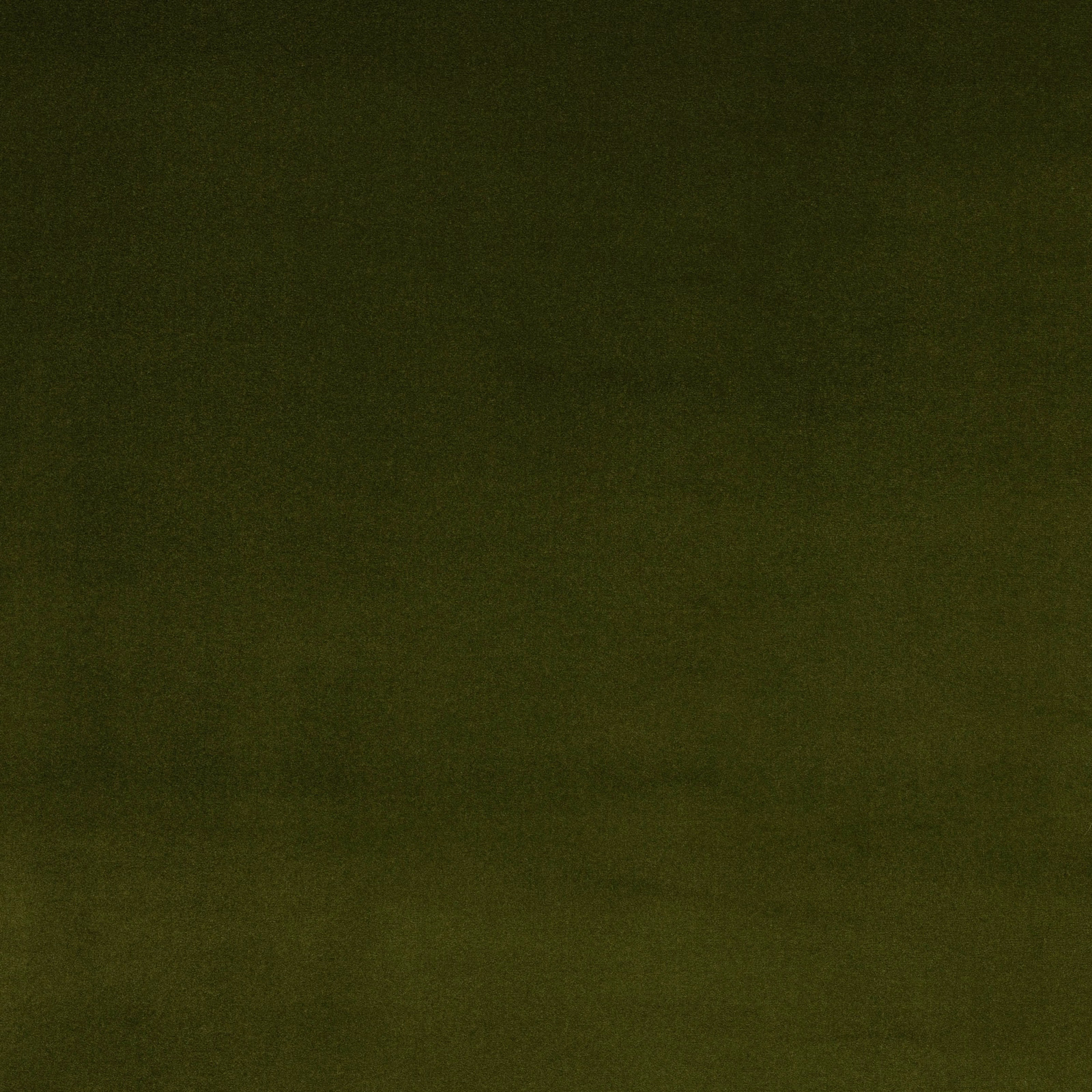 Deep moss olive plain fabric swatch with a smooth, muted finish