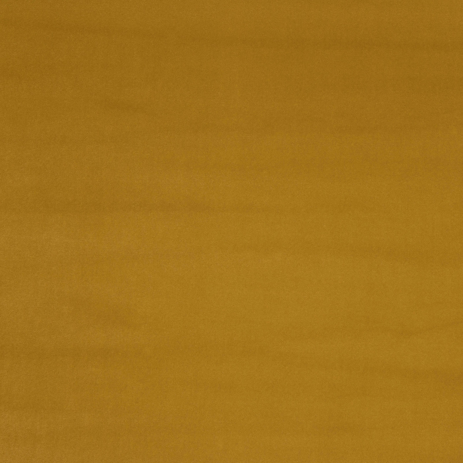 Mustard gold plain fabric swatch with a smooth matte surface