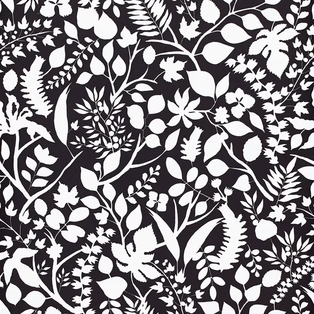 L Eden Carbone fabric