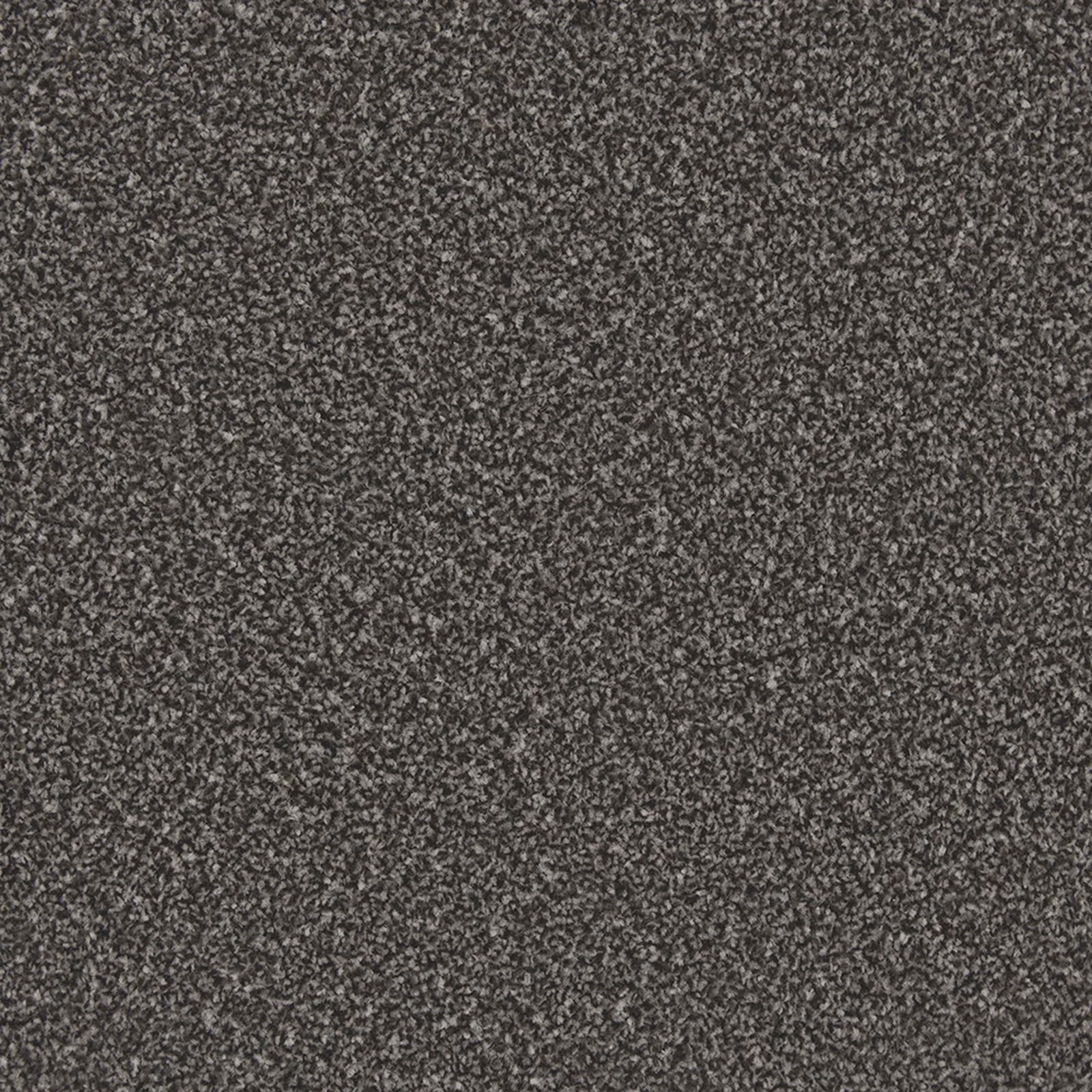 Charcoal grey carpet swatch with dense salt-and-pepper flecked texture