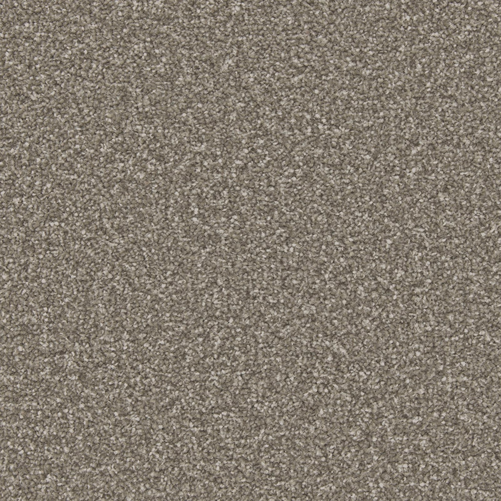 Close-up of cool slate-grey carpet with taupe flecks and dense textured pile