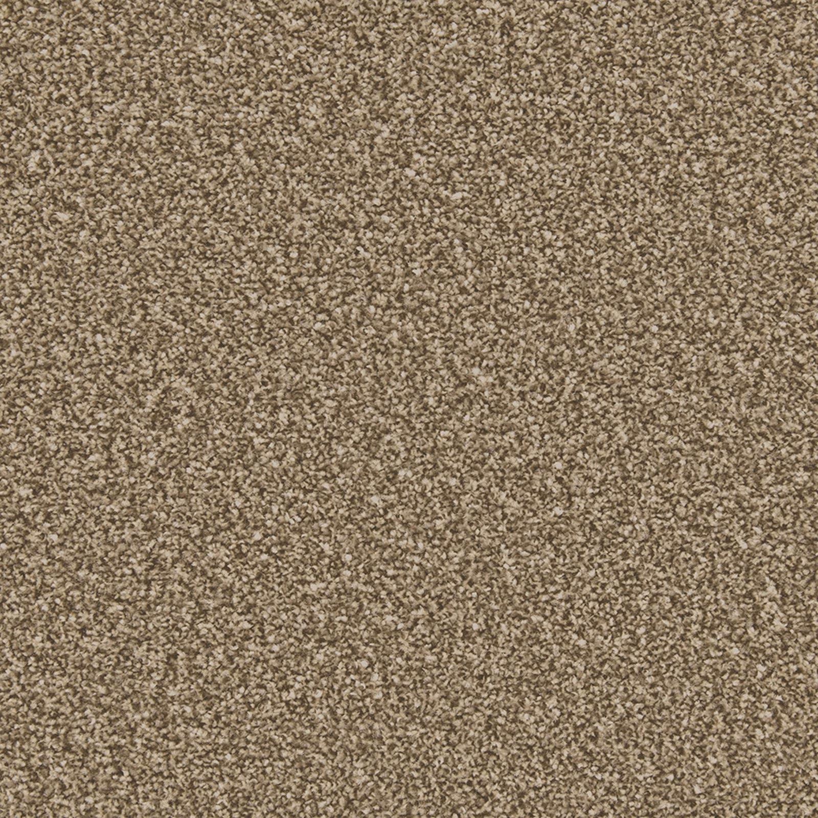 Mottled Roman Stone taupe carpet with dense short pile and brown cream flecks