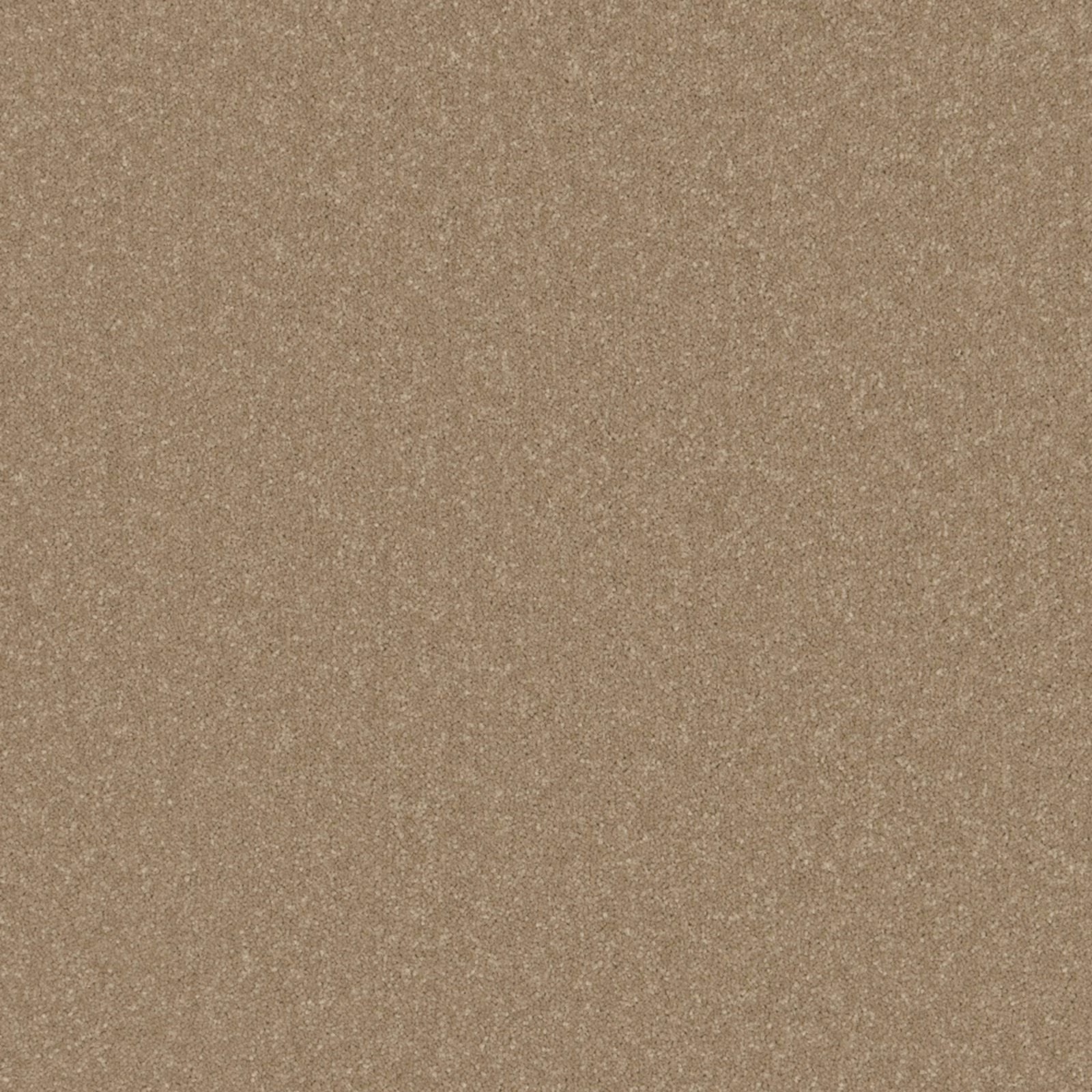 Mottled taupe-grey carpet surface with fine, even flecks and warm brown depth