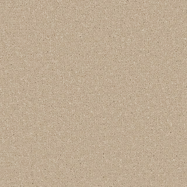 Soft alabaster beige carpet with a dense, subtly pebbled loop texture
