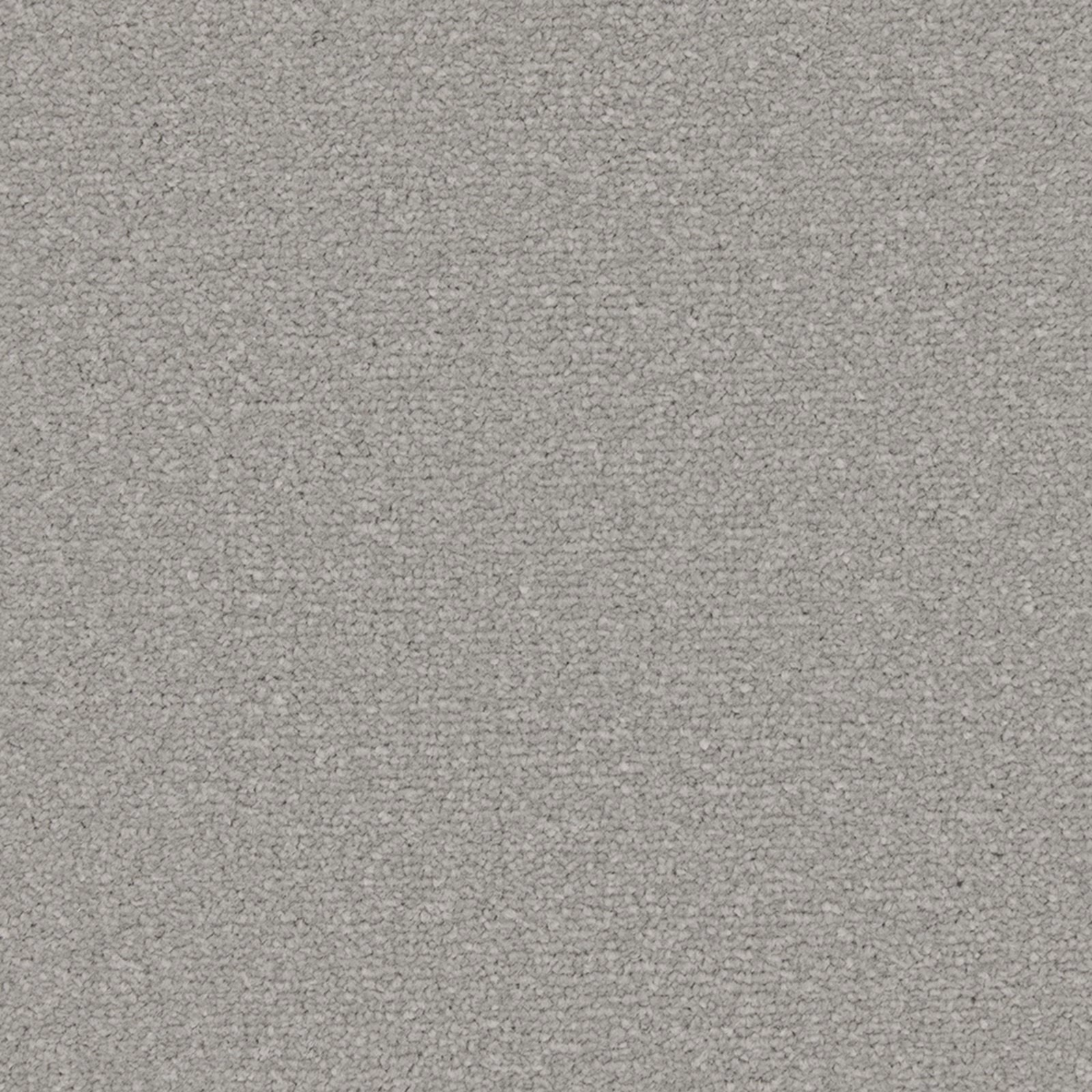 Cool silver-grey carpet with a dense, softly mottled short-pile texture