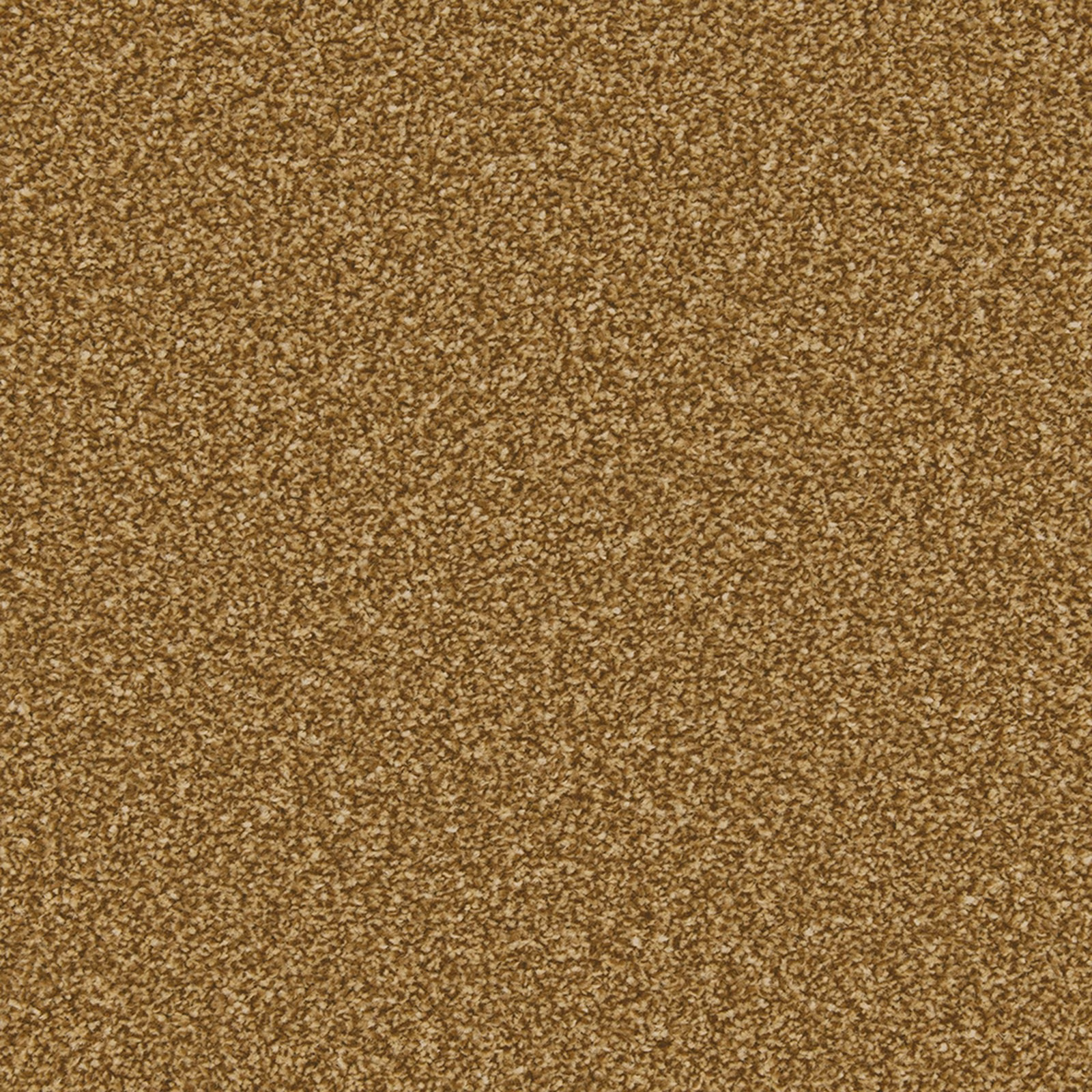 Warm golden-brown carpet with dense fine flecking and softly mottled pile