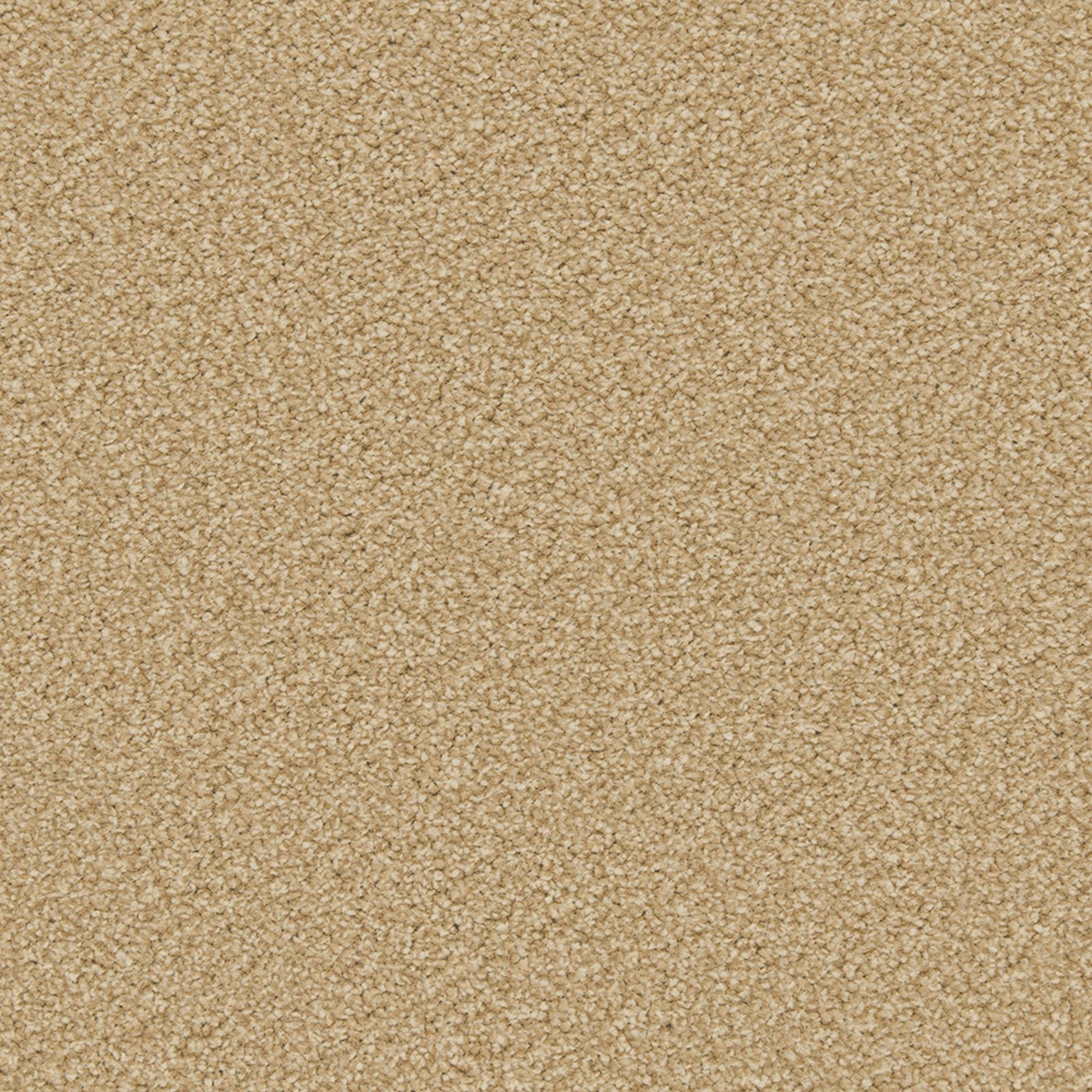 Warm caramel carpet with a dense, finely pebbled pile and subtle tonal variation