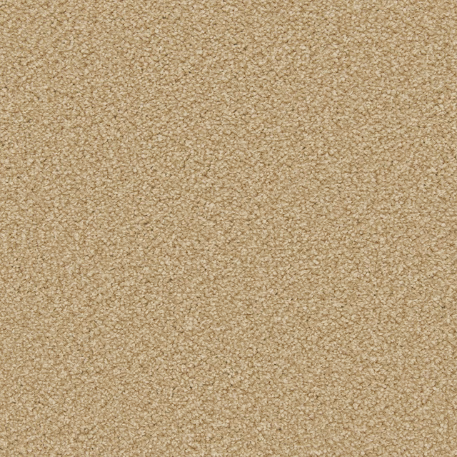 Warm caramel carpet with a dense, finely pebbled pile and subtle tonal variation