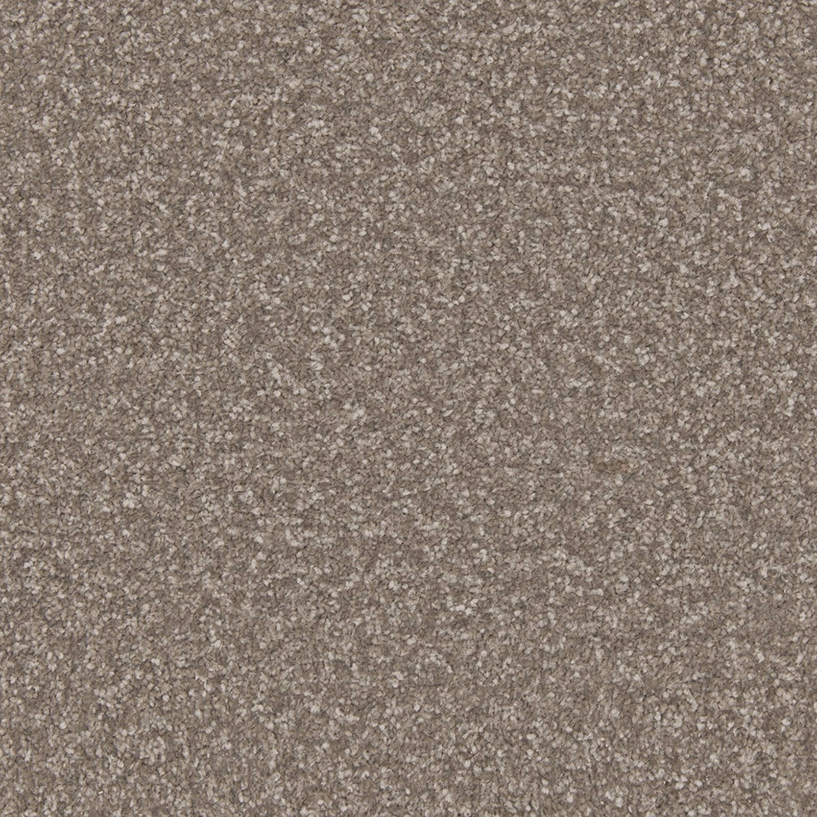 Mottled taupe-grey carpet with fine brown and stone flecks in a dense textured surface