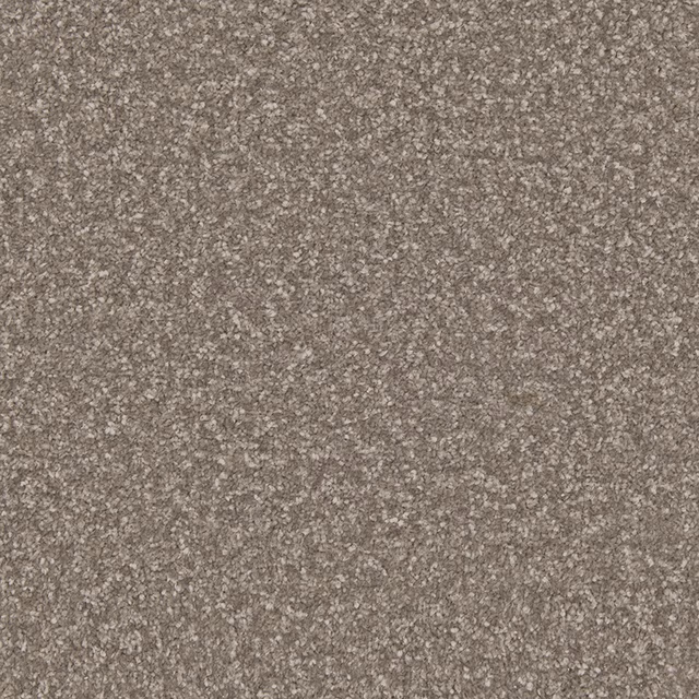 Mottled taupe-grey carpet with fine brown and stone flecks in a dense textured surface