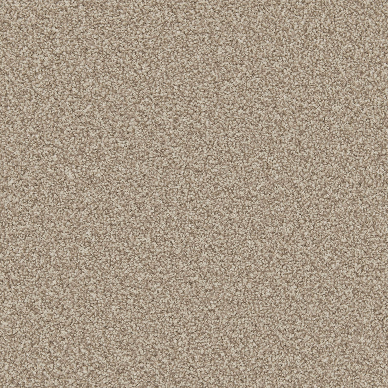 Close-up of Manhattan Taupe carpet showing a softly flecked, dense taupe pile