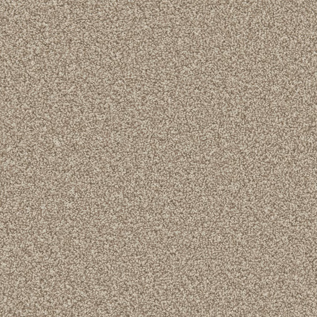 Close-up of Manhattan Taupe carpet showing a softly flecked, dense taupe pile
