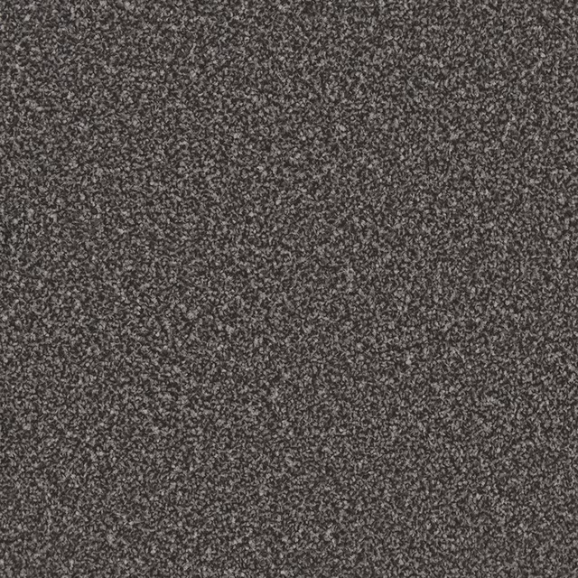 Dark charcoal-grey carpet with fine black and grey peppered flecks and dense texture