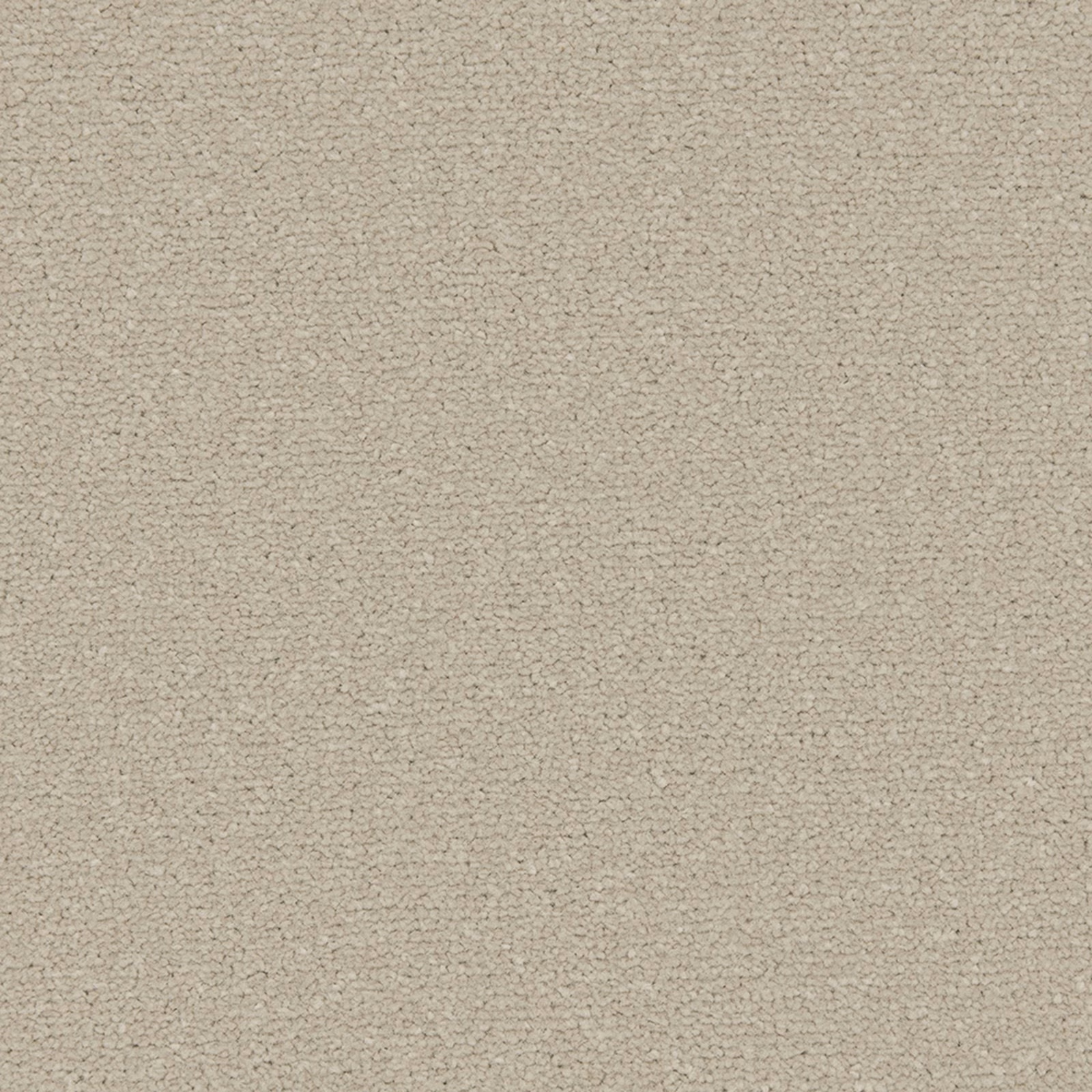 Warm greige Pebblestone carpet with dense fine loops and softly mottled texture
