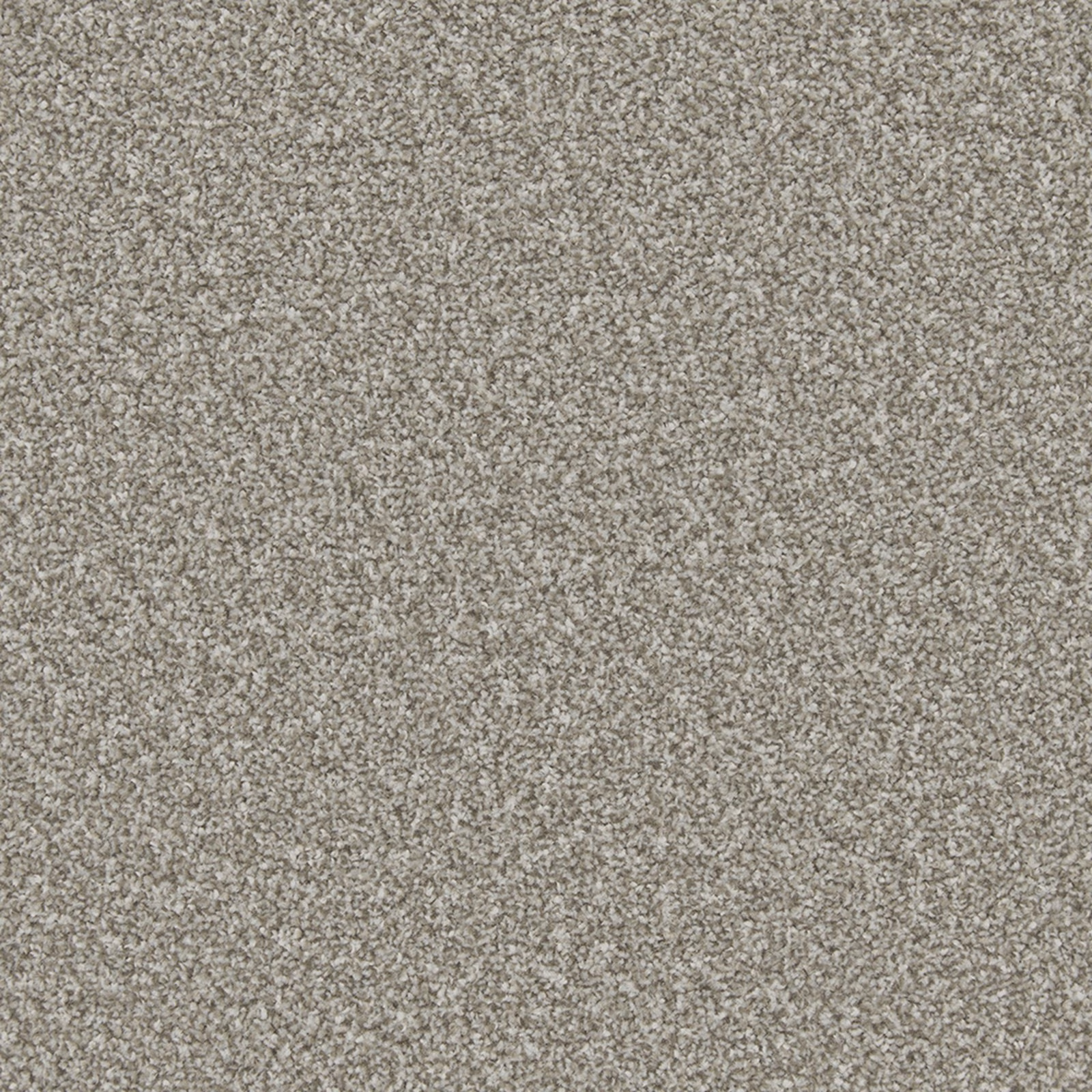 Dense taupe-grey carpet pile with fine cream and brown flecking