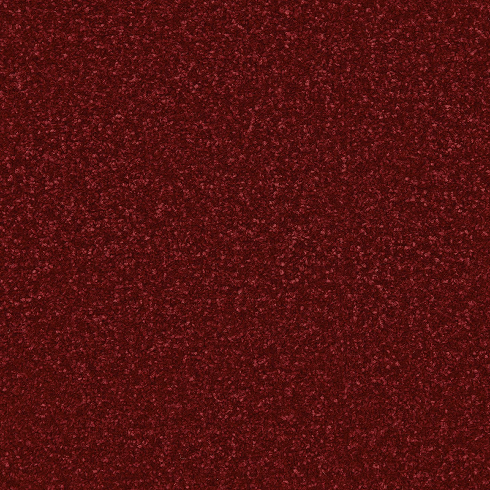 Deep scarlet red carpet with dense burgundy flecked pile and tactile texture