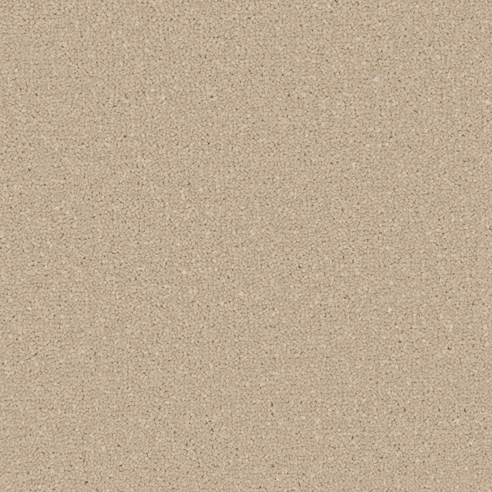 Close-up of warm sandy beige carpet with a dense, subtly nubby short-pile texture