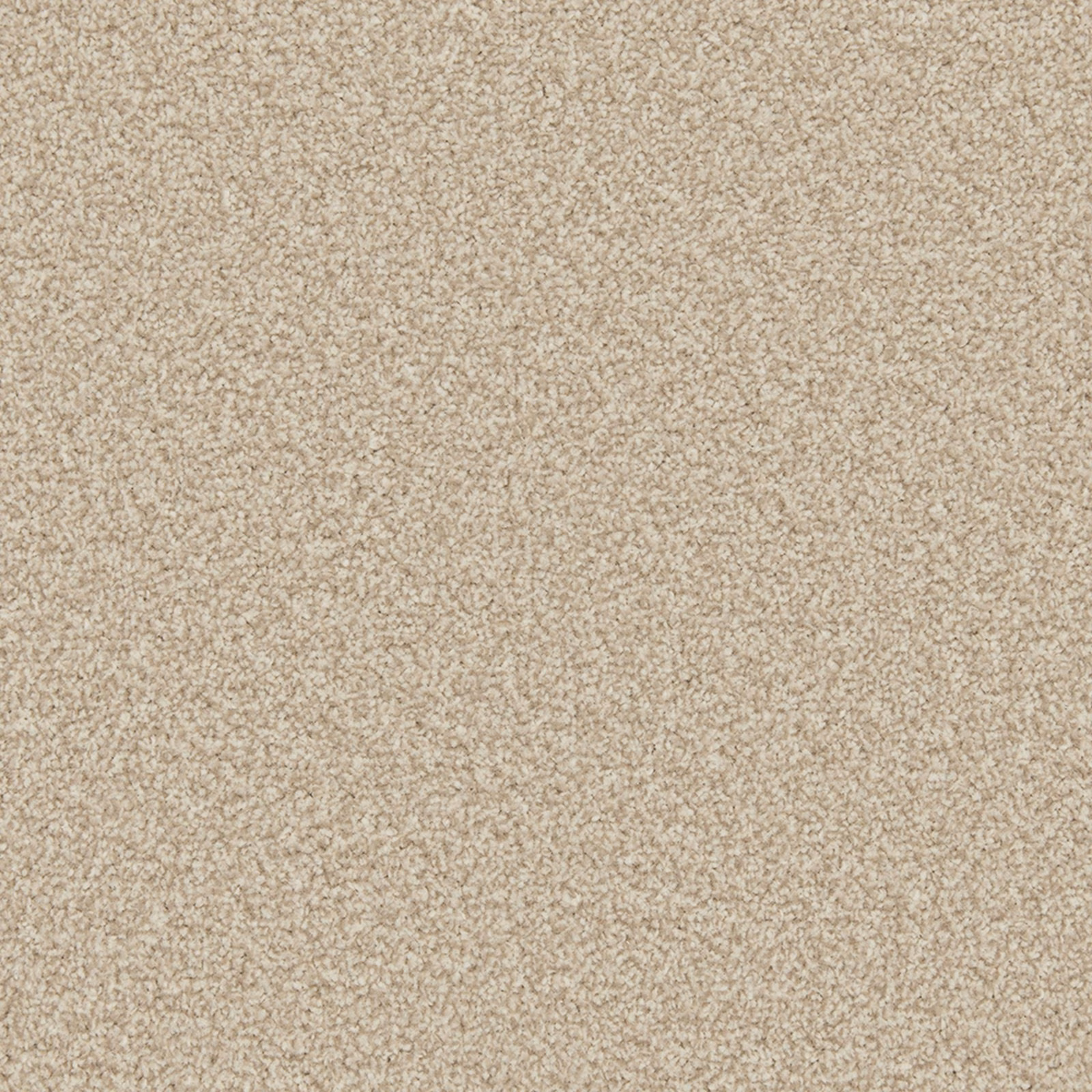 Warm Shortbread beige carpet with a finely flecked, compact textured pile