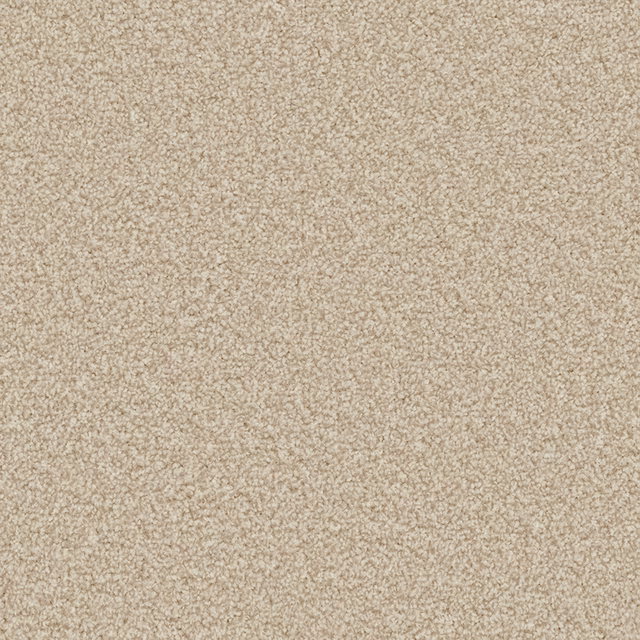 Warm Shortbread beige carpet with a finely flecked, compact textured pile