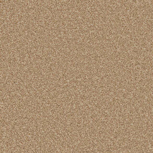 Warm taupe-beige carpet with dense softly flecked textured pile