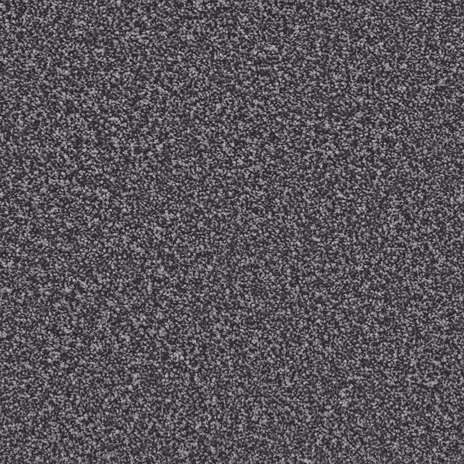 Dense charcoal-grey carpet with fine pale flecks and a softly mottled surface