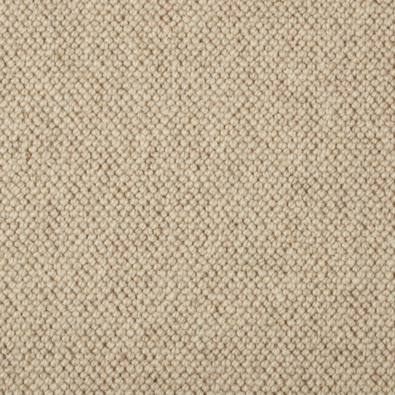 Warm oatmeal-beige carpet with tightly packed looped texture and subtle tonal flecks