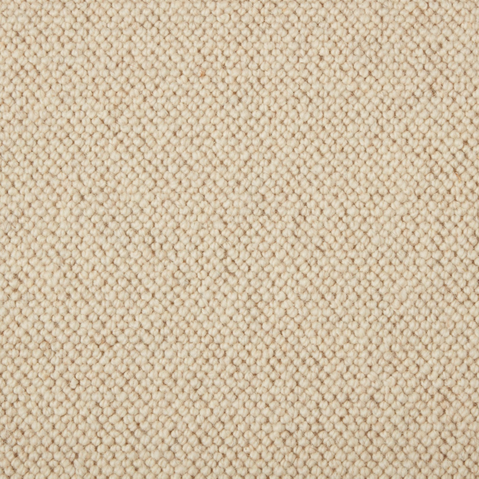 Close-up of Fleece carpet in warm cream-beige with dense, rounded wool loops