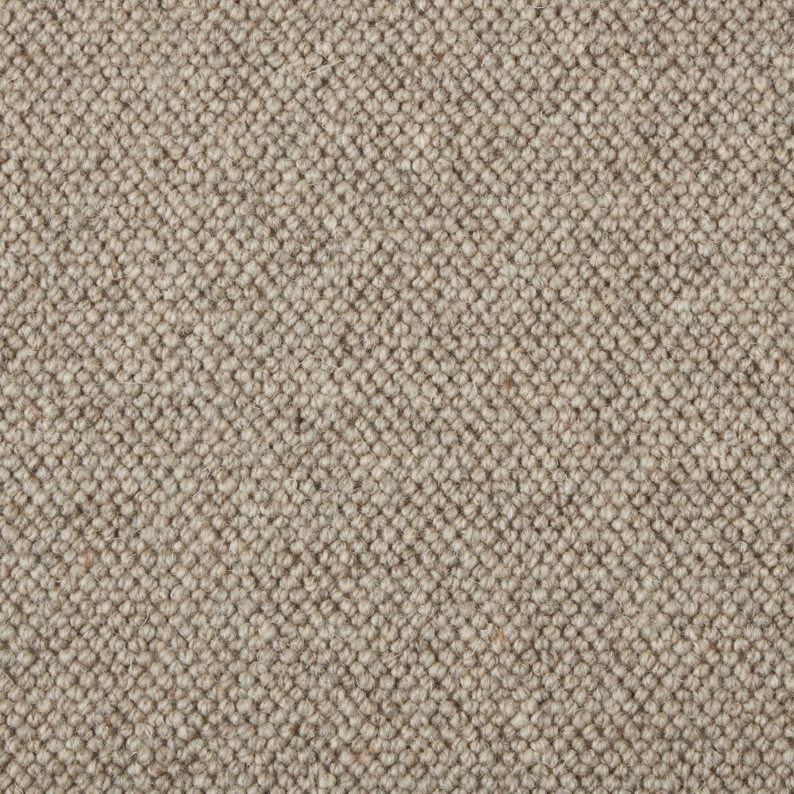 Close view of warm taupe-beige small loop texture with darker flecks